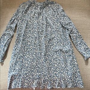 Aritzia Blue and White Floral Long Sleeve dress